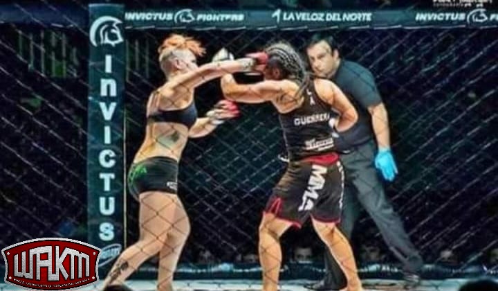 MMA REGLAMENTO WAKM