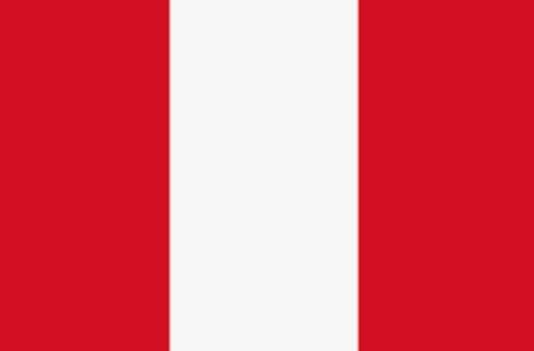 EXAMEN OFICIAL WAKM PERU